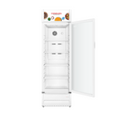 CCH114NFi 11.4CUFT CONDURA NF INV CHILLER