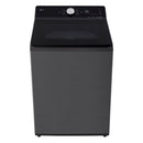 TX2312DT5G LG 12KG TOPLOAD AI INVERTER DD WASHER
